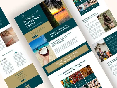 Foods From Egypt: Uganda & Tanzania Trade Missions content writing ui ux web design