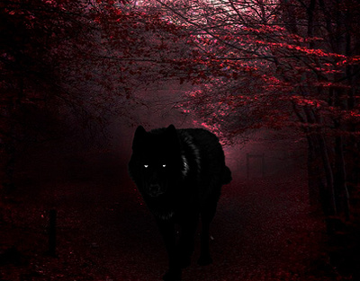 black wolf design