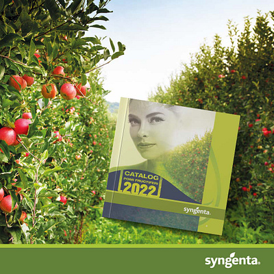 Cromatix work Facebook banners for Syngenta! branding chisinau creative cromatix cromatix creative image lab cromatixlab design illustration logo moldova