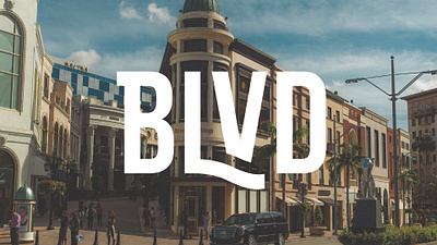 BLVD Real Estate Investment Co. - Logo Wordmark branding design identity lettering logo typedesign wordmark