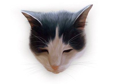 Karel cat digital drawing drawing illustration ipad procreate