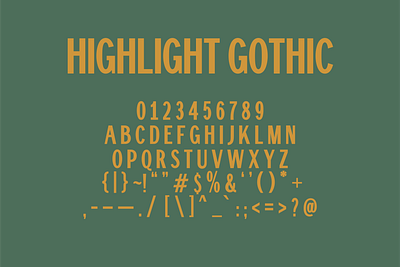 Highlight Gothic Typeface branding design font type design typeface typography