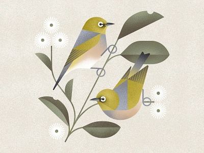 Silvereyes adobe animals australia birds botany eucalyptus flowers geometric illustration natural history plant silvereye zosterops