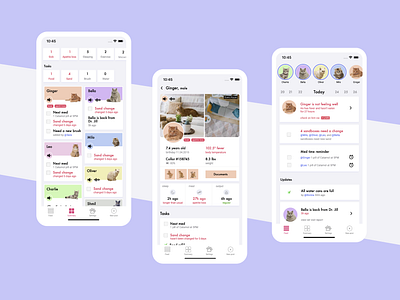 Cats Social Media App 😻 animals app application cat cat owners cats feed instagarm pet pets product design social media stories story task manager tasks to do ui ux ux design