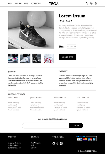 TEGA - Product Description Page branding css ui uidesign ux