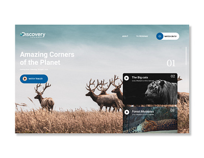 Discovery Channel Redesign bangalore designer figma illustrator redesign ui ui designer uidesignerbangalore uiux