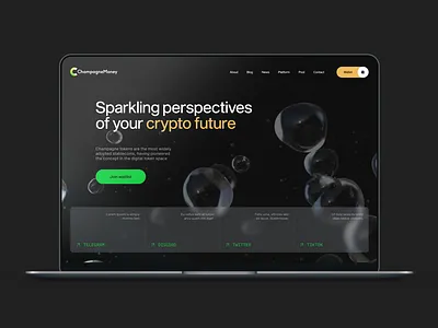 ChampagneMoney - website design and development branding design figma graphic design ui ux web design
