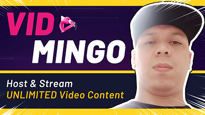 Vidmingo Review vidmingo vidmingo review
