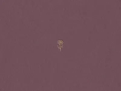 Inquisited branding graphic design illustration logo web design