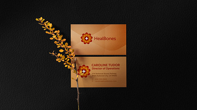 HealBones branding business card graphic design logo design