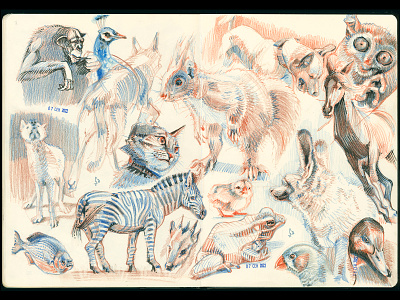 Animal sketches [pencils and pen] analogue animal doodle drawing etching graphic illustration pencil drawing sketch sketchbook sketching study traditional art