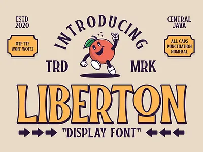 LIBER-TON DISPLAY FONT app badge branding classic design display font graphic design illustration logo retro serif typeface typography ux vintage