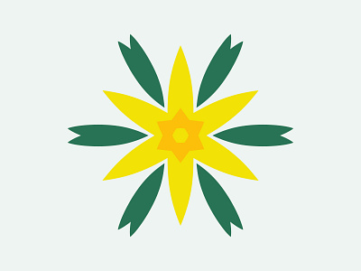 Daffodil Starflower (Yellow-Green) arrangement bloom botanical daffodil decoration flora floral florist flower flowering flowers green illustration nature petals plant plants spring starflower yellow