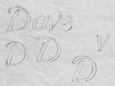 Dove Sketch branding hand lettering lettering logo logotype sketch type typography