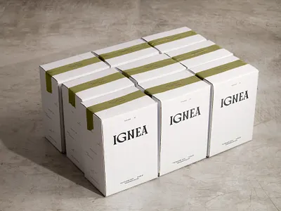 IGNEA Box argentina asis biodynamic box branding concrete identity natural organic packaging shipping wine
