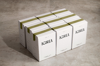 IGNEA Box argentina asis biodynamic box branding concrete identity natural organic packaging shipping wine