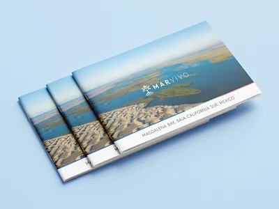 MarVivo art direction branding design figma graphic design illustrator layout logo photoshop