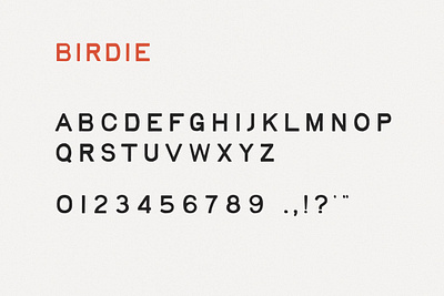 Birdie Typeface display font font design handmade handmade font handtype simple type type design typography vintage