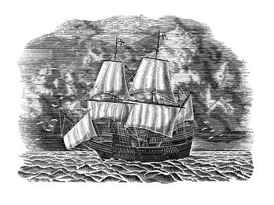 Mayflower engrave engraving illustration ink lineart strokes woodcut