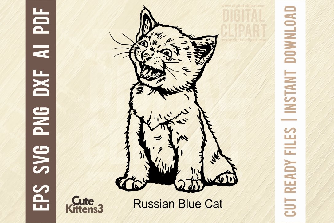 Russian Blue Cat SVG - Funny Cat SVG by Sergey on Dribbble