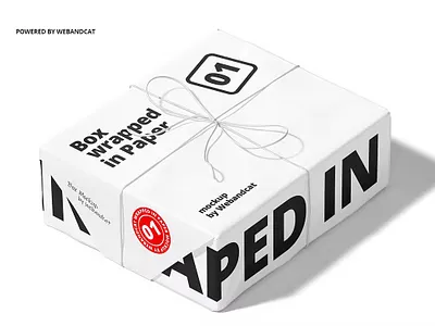 Box Parcel Package Mockup app box branding cute design illustration logo mockup packaging packaging design ux