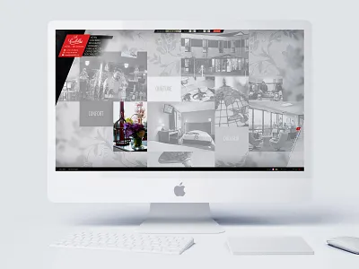 Colibri Website (2012) design website