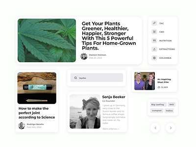 Cannabis Educational Blog blog branding cannabis design deutsche education ui ux uxdesign