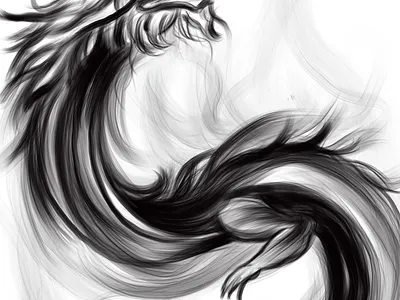 Dargon branding dragon graphic design illustration logo vector