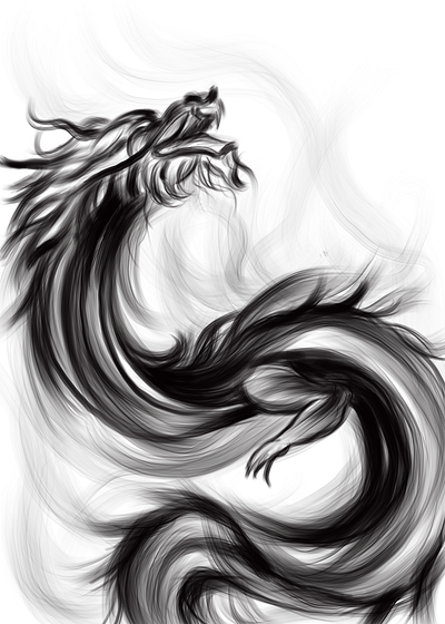 Dargon branding dragon graphic design illustration logo vector