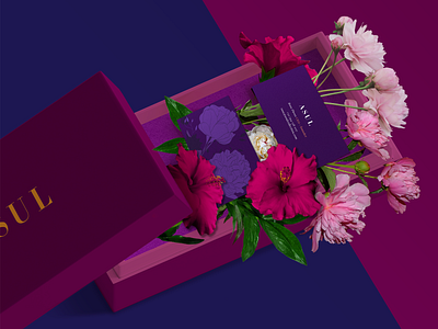 Branding Asul branding graphic design illustration