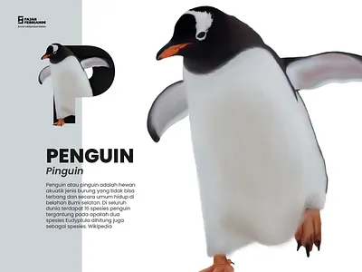 P | Penguin #AnimalAlphabetSeries design graphic design illustration illustrator