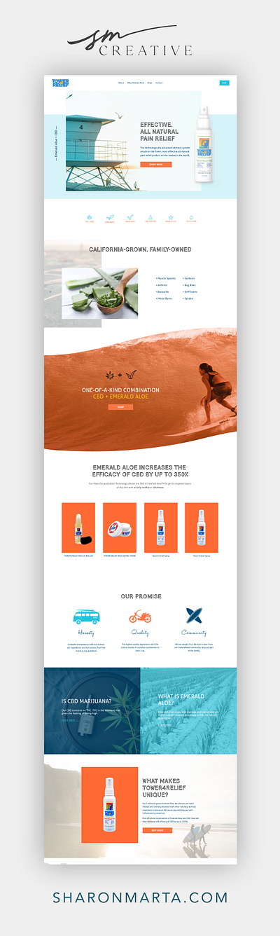 Website Design E-commerce Shop california style squarespace surf style web design web designer website design
