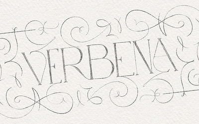 Verbena branding graphic design illustration logo sketch