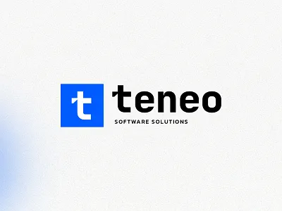 Teneo Software Solutions Brand Identity brand branding custom design graphic icon identity illustration logo ui