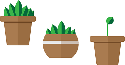 Plant pot Illustrations adobe illustrator graphic design illustration plant