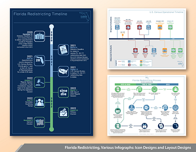 2022 Florida Redistricting Infographs adobe branding design graphic design illustration logo typography vector