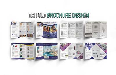 Trifold brochure design branding bro brochure design corporate design flyer design graphic graphic design illustration logo print design