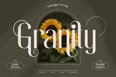 Granity - Sans Serif Font branding design font fonts logo logo type typography ui