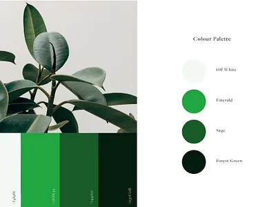 Colour Palette for Blackmore Company branding design graphic design