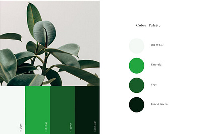 Colour Palette for Blackmore Company branding design graphic design