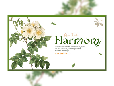 Harmony design dribbble illustration minimal nursery plant ui uidesign ux webdesign