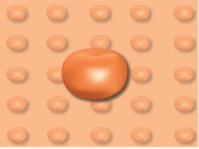 O for Orange adobe illustrator art digital illustration digitalart fruit illustration orange vector art vitamin c