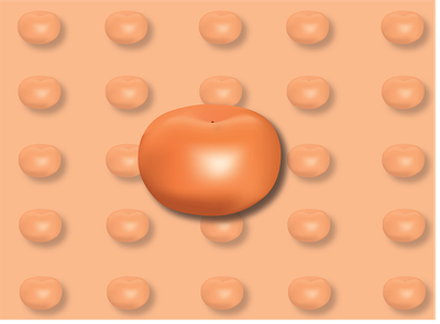 O for Orange adobe illustrator art digital illustration digitalart fruit illustration orange vector art vitamin c