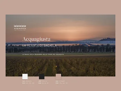 Acquagiusta website adobe xd graphic design ui ux web design