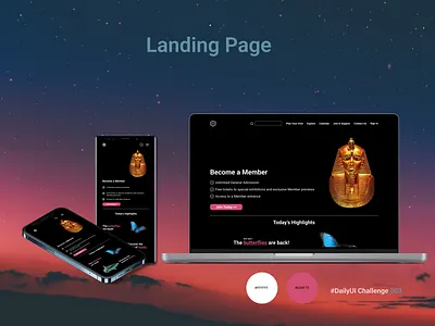 Landing Page appdesign branding dailyui dailyuichallenge landingpage museum ui webdesign