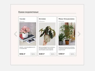 Flower House — landing page. calm clean concept figma flower shop landing page minimalistic shop simple design ui warming web design website веб дизайн карточки товара лендинг цветочный магазин