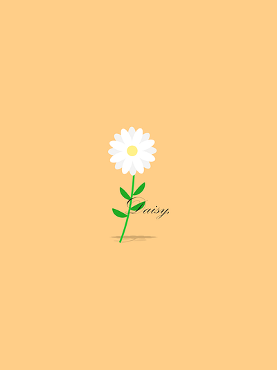 Daisy, design graphic design illustration vector