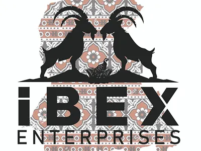 Logo Design branding businessprofile company profile graphic design