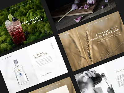 Stumbras branding graphic design logo ui