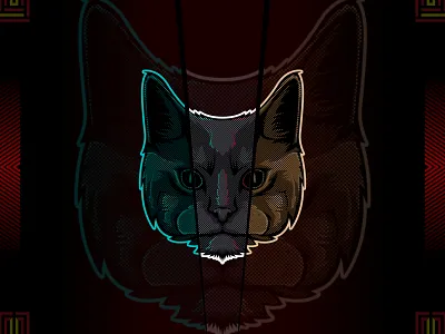Maine coon cat head vector animal beast cat design graphic design illustration kitten pet vector